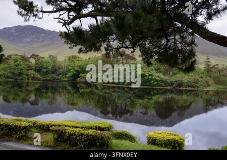 Berg und Wald spiegeln sich in einem ruhigen See in Connemara, Irland Stockfoto