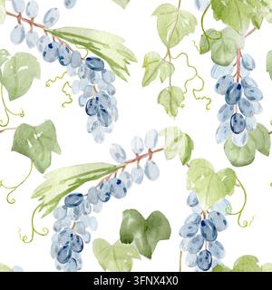 Blaue Traubenbeeren, grüne Blätter, sich windende Reben nahtloses Aquarellmuster auf weißem Hintergrund. Handgemalt für Weinverpackungen, Textilien, Tapeten Stockfoto