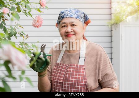 Porträt einer lächelnden älteren asiatischen Frau, die eine Schürze und ein Kopftuch trägt und Gartenschere hält, während sie in ihrem Garten Rosenbüsche pflegt Stockfoto