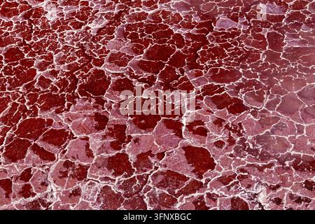 Die blutrote Salzkruste des Lake Magadi, Südliches Rift-Tal, Kenia. Mikroben und Algen produzieren Pigmente, die die Salzflächen rot färben. Stockfoto