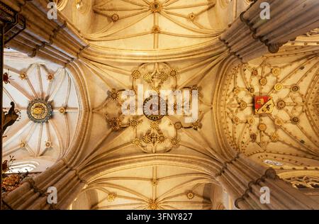 Palencia, Spanien – 02. August 2024: Blick auf einen Teil der Decke des Hauptschiffs der Kathedrale von Palencia in Spanien. Stockfoto