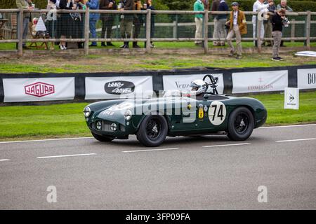 Seitenansicht-Aktionsfoto eines weißen Ford Thunderbird mit der Rennnummer 99 während des Wettbewerbs beim Goodwood Revival. Auf der Strecke in Go aufgenommen Stockfoto
