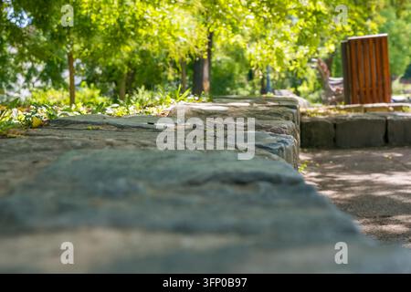 Sonnige Steinbänke und eine hölzerne Parkstruktur neben einem grünen Gartenweg in einem grünen öffentlichen Park in Novi Sad, Serbien, an einem Sommertag Stockfoto
