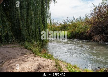 Wunderschöner Fluss, der durch üppige grüne Natur fließt, mit Trauerweidenzweigen, die über einem sandigen Ufer an einem bewölkten Sommertag hängen. Stockfoto