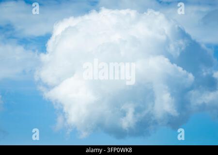 Cumuluswolke, die sich gegen einen lebhaften blauen Sommerhimmel erhebt, mit hellen weißen, wallenden Formationen und weichen atmosphärischen Texturen. Stockfoto