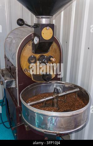 Kommerzielle Kaffeeröstmaschine mit gerösteten Kaffeebohnen im Kühlbehälter, die in der Kaffeeröstung verwendete Ausrüstung zeigend. Stockfoto
