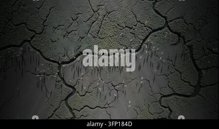 Eine Luftperspektive zeigt eine Sumpflandschaft mit rissiger Erde, gewundenen Wasserkanälen und zahlreichen Vögeln, die lange Schatten werfen. Stockfoto
