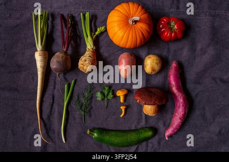 Ansicht einer Vielzahl von frischen saisonalen Gemüsen, darunter ein Kürbis, eine Pastinake, eine Rübe, eine Süßkartoffel, eine Zucchini und Pilze, die auf einem dunklen Stoffhintergrund arrangiert sind Stockfoto
