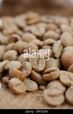 Grüne Kaffeebohnen werden auf einer gewebten Oberfläche in einer Nahaufnahme präsentiert Stockfoto