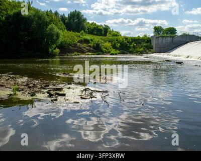 Ein kleiner Fluss fließt im Sommer durch das Damm. Stockfoto