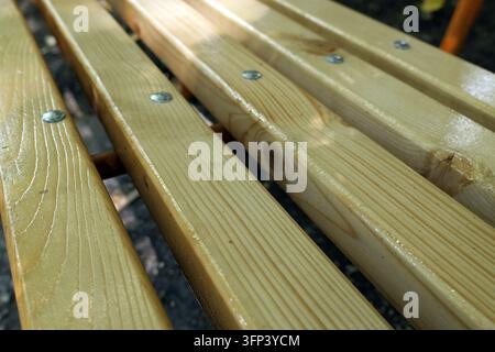 Nahaufnahme zeigt neue Holzlatten, die mit klarem Lack überzogen sind, wodurch die Holzmaserung und Textur sichtbar wird, mit Metallschrauben befestigt, was einen detaillierten Hintergrund erzeugt Stockfoto