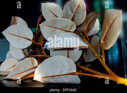 Dekorative gebogene Wellenblätter aus handgefertigten natürlichen gestrickten Blattmustern auf Bambusstielen, ähnlich dem Exotic Banana Leaf & Bamboo "Curved Stockfoto