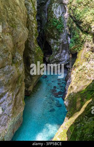 Ein atemberaubender Blick aus der Vogelperspektive fängt das ruhige türkisfarbene Wasser ein, das durch zerklüftete Canyonwände fließt und Ruhe und unberührte natürliche Schönheit in S weckt Stockfoto