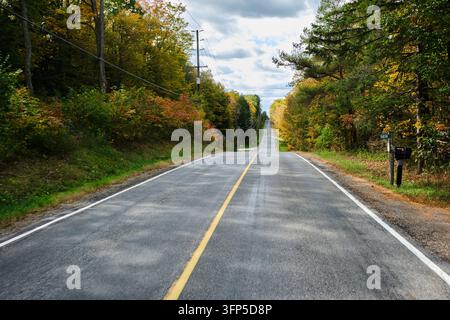 Eine malerische Straße in Nord-Ontario im Herbst. Die Bäume und Sträucher werden im Herbst farbenfroh und inspirierend. Stockfoto