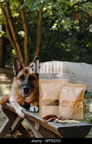 Deutscher Schäferhund ruht neben natürlichen getrockneten Hundeleckerlis in Kraftpapierverpackung auf einer Holzbank. Nützlich für Premium-Haustierfutter, Wellness und Lebensstilförderung Stockfoto