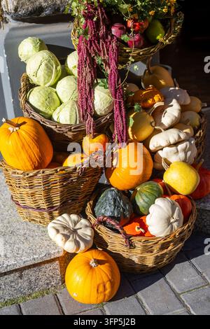 Buntes Herbsternte-Display mit Kürbissen und Kohl in Weidenkörben, saisonale Außendekoration mit frischem Gemüse und Blumen. Stockfoto