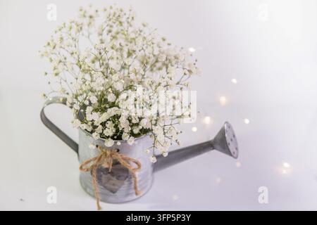 Weiße Gänseblümchen in einem Vintage-Wasserkanne aus Metall mit Lichterkettenhintergrund Stockfoto
