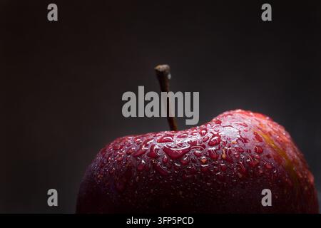 Nahaufnahme-Makrofotografie einer frischen, reifen roten Äpfel, der mit glitzernden Wassertropfen und Tau bedeckt ist, mit ihrem Stiel vor einem stimmungsvollen, dunklen Hintergrund Stockfoto