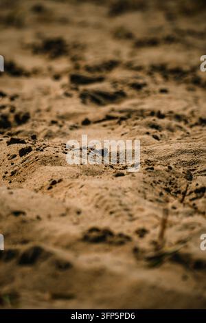 Vertikale Makrofotografie, die detaillierte Texturen und Muster von rauem sandigem Boden oder Erde mit geringer Schärfentiefe zeigt. Perfektes kommerzielles Konzept Stockfoto