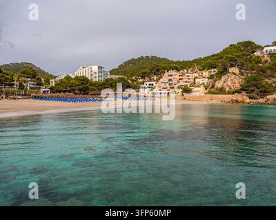 Unberührte mediterraneische Bucht in Camp de Mar zeigt kristallklare türkisfarbene Gewässer, die sandige Ufer umspülen, mit Hügelvillen und Pinienwäldern creati Stockfoto
