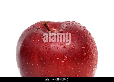 Nahaufnahme einer frischen roten Apfel mit Wassertropfen auf glatter Schale und Stiel Stockfoto