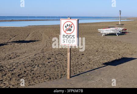 Ende des Strandhundes, Verbotsschild für Tierbesitzer, um mit ihren Hunden nicht weiterzugehen. Sand und Meer im Hintergrund. Kopierraum. Stockfoto