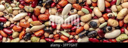 Leguminosen Panorama. Impulsleiste. Viele verschiedene Bohnen und Körner, über dem Kopf flacher Lay Shot. Veganes Protein Stockfoto
