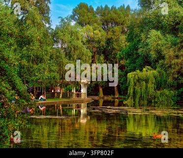 Ruhige Seenlandschaft am St. Stephen's Green in Dublin Stockfoto