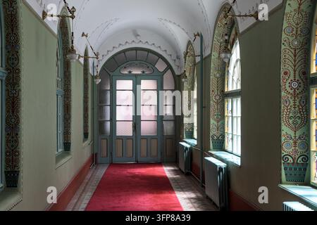 Verzierter, leerer Flur mit handbemalten Wänden und einem roten Teppich, Stadthalle Subotica, Subotica, Serbien Stockfoto