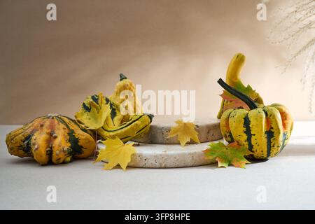 Dekorative Kürbisse und farbenfrohe Ahornblätter auf einem beigen Steinpodest arrangiert Stockfoto