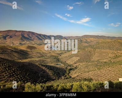 Weinterrassen entlang des Douro in Portugal Stockfoto