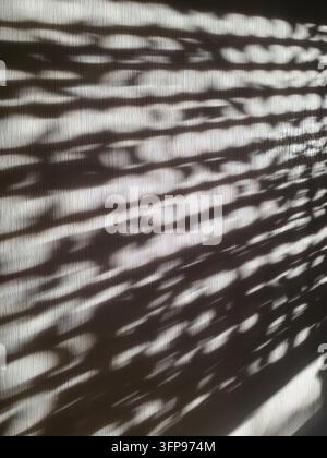 Abstraktes Spiel von Licht und Schatten, das durch Sonnenlicht erzeugt wird, das durch Laub und Netze auf eine strukturierte Oberflächenstruktur fällt Stockfoto