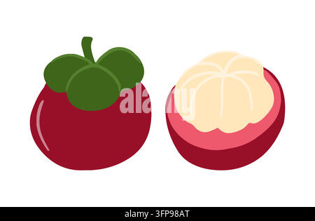 Mangosteen-Set Stock Vektor