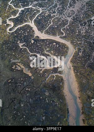 Ein gewundener Gezeitenkanal durch dunkle Salzmarschvegetation und helle Schlickflächen in Huelva, Spanien. Stockfoto