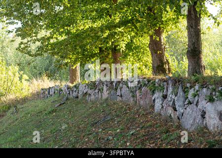 Alte Steinmauer, die mit Moos bewachsen ist, in einem Park Stockfoto