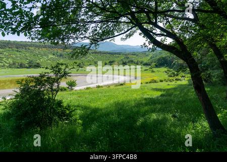 Blick aus dem Wald zu einem teilweise ausgetrockneten See im Hügelland. Grünes Gras, gelbe Blumen Stockfoto