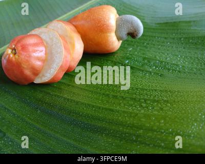 Frische geschnittene Cashew-Äpfel-Frucht mit Cashewkern auf grünem Bananenblatt mit Wassertropfen Stockfoto