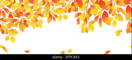 Vektorrahmen mit Herbstzweigen. Ein horizontales nahtloses Muster mit orangefarbenen und gelben Buchenblättern. Herbstzeit. Ulmenblätter fallen sanft herab und wehen im Wind. Clipart für den Verkauf. Stock Vektor