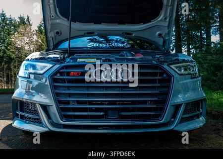 Vorderansicht eines grauen Audi S3 mit geöffneter Motorhaube und sichtbarem Audi-Vierer-Ring-Emblem, geparkt zwischen immergrünen Bäumen auf einer Kleinstadt-Autoshau in Ba Stockfoto
