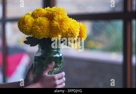 Gelbe Blumen in einem Glas gefüllt mit Wasser Stockfoto