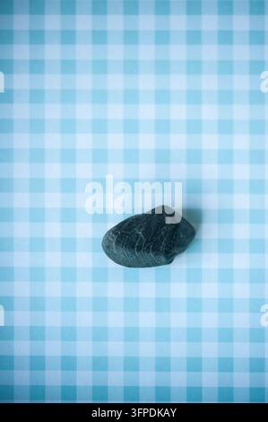 Einziger glatter schwarzer Kieselstein auf einem hellblauen Gingham-Hintergrund, von oben in einem minimalistischen Stillleben fotografiert Stockfoto