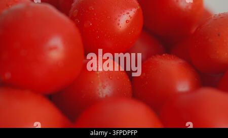 Frische rote reife Tomaten mit Wassertropfen, ein gesunder organischer Bestandteil für das Kochen und die Lebensmittelzubereitung Stockfoto