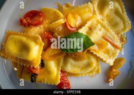 Gefüllte Ravioli mit Kirschtomaten und frischem Basilikum liegen auf einem weißen Teller, Gubbio, Umbrien, Italien Stockfoto