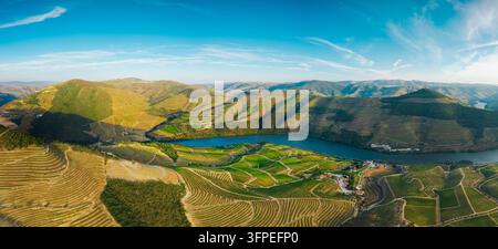 Eine Luftaufnahme zeigt terrassierte Weinberge und den gewundenen Douro-Fluss im sonnenbeschienenen Douro-Tal, Portugal. Stockfoto
