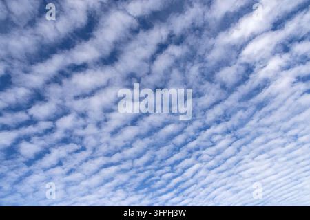 Weite Schichten von Stratokumuluswolken wogen sich über den Himmel und schaffen ein dramatisches Gefühl von Skala und einen natürlichen Hintergrund Stockfoto