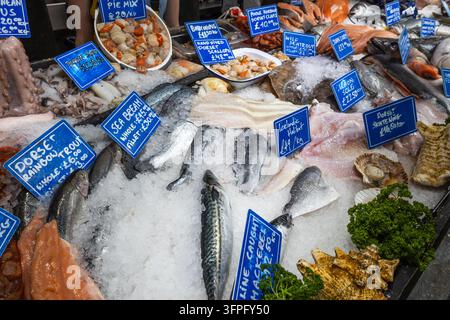 Verschiedene frische Meeresfrüchte und roher Fisch, auf Eis arrangiert, mit Preisschildern an einem Marktstand Stockfoto
