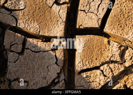 Trockene rissige Erde zeigt die Folgen der globalen Erwärmung, des Klimawandels, der Dürre und der Wüstenbildung, die Umwelt und Ressourcen beeinträchtigen Stockfoto