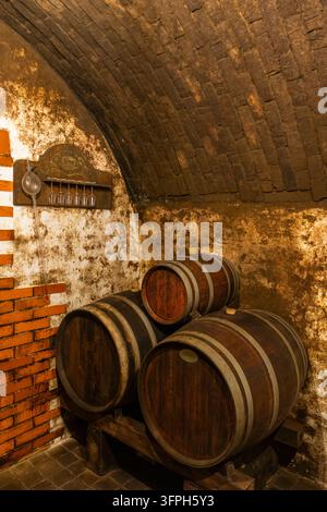 Weinfässer, die Wein in einem alten Keller mit Ziegelgewölbe lagern, mit Verkostungswerkzeugen Stockfoto