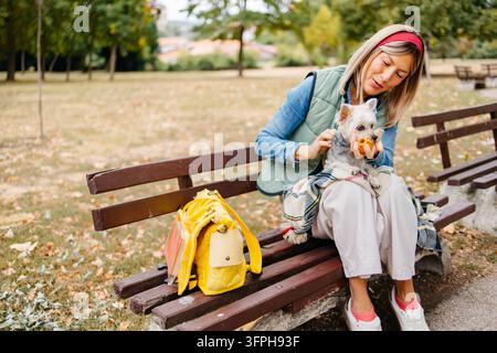 Eine Frau sitzt im Park mit ihrem Hund. Stockfoto