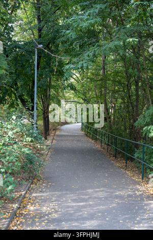 Ein ruhiger gepflasterter Fußweg, der sich durch dichte grüne Bäume und Herbstvegetation windet, mit einem Metallgeländer und einer Straßenlaterne. Stockfoto